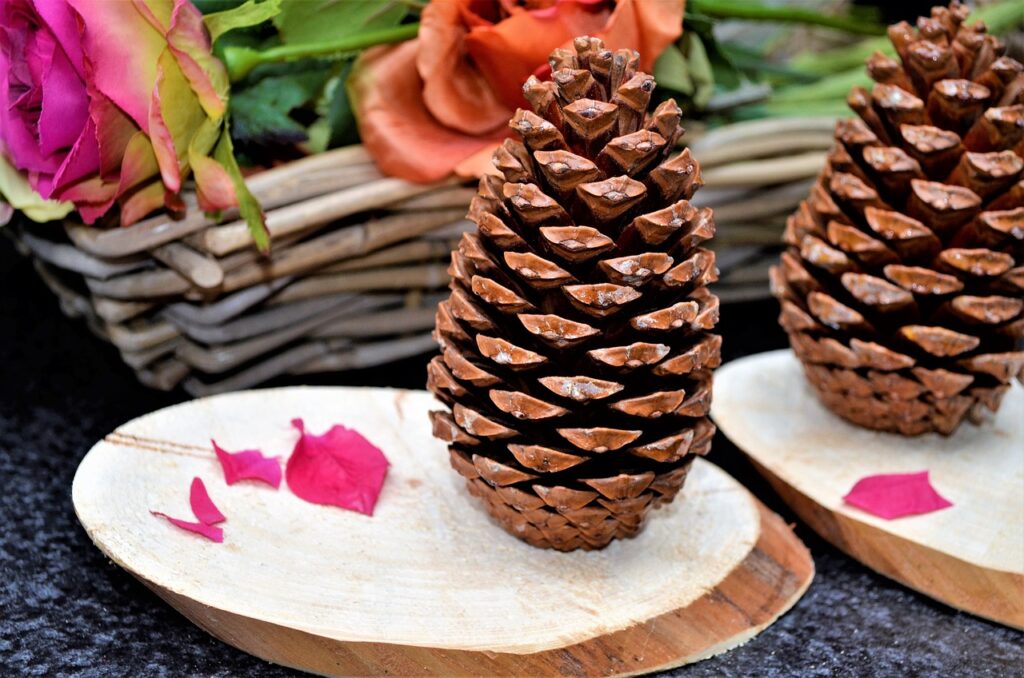 wood, pinecone, to craft-3268639.jpg